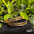 Antique Bangle IIMITA-ABN04